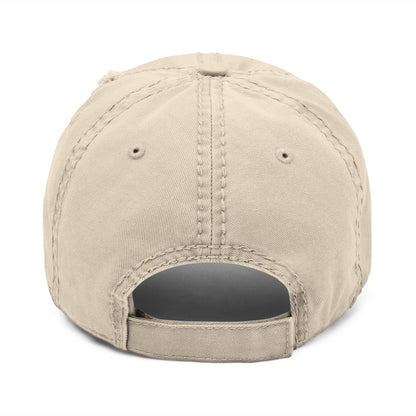 Distressed Static Theory Hat