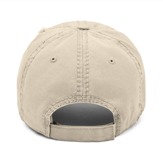 Distressed Static Theory Hat